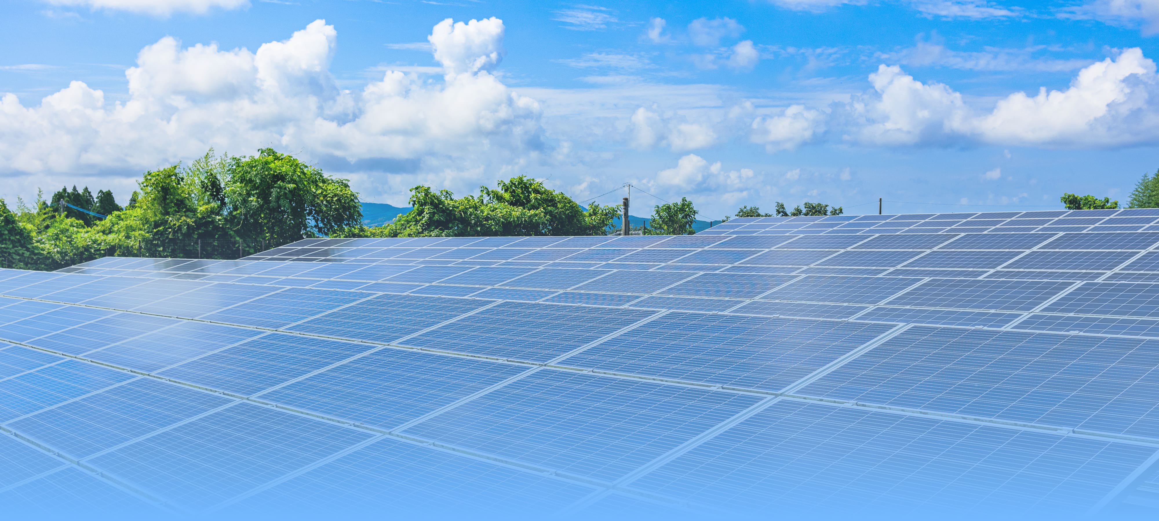 人と人を繋げる貿易を。株式会社ショーライ